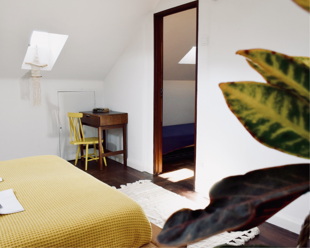 little table, plant, private flat