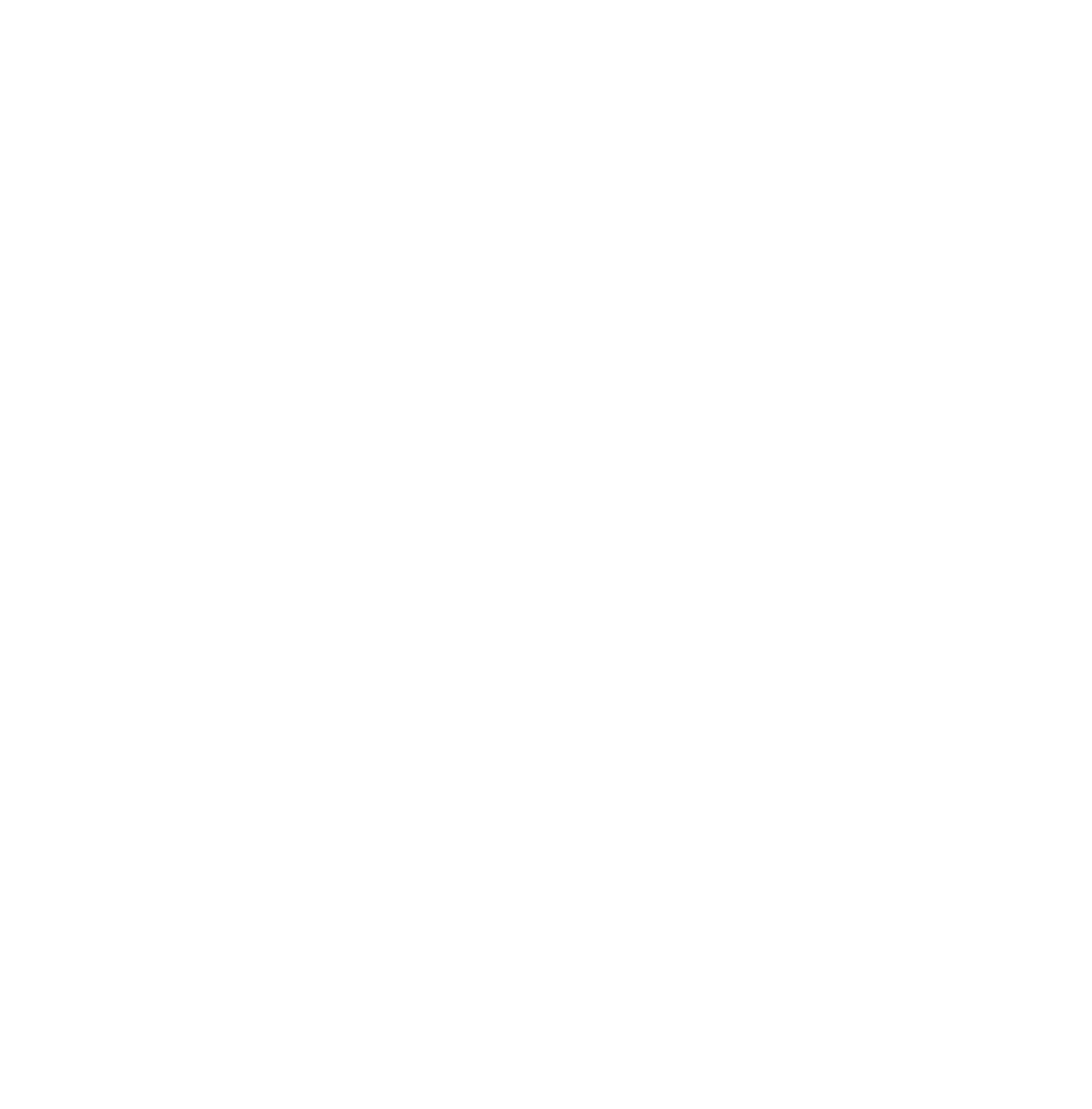 white lost caparica surfhouse logo with waves and the sun