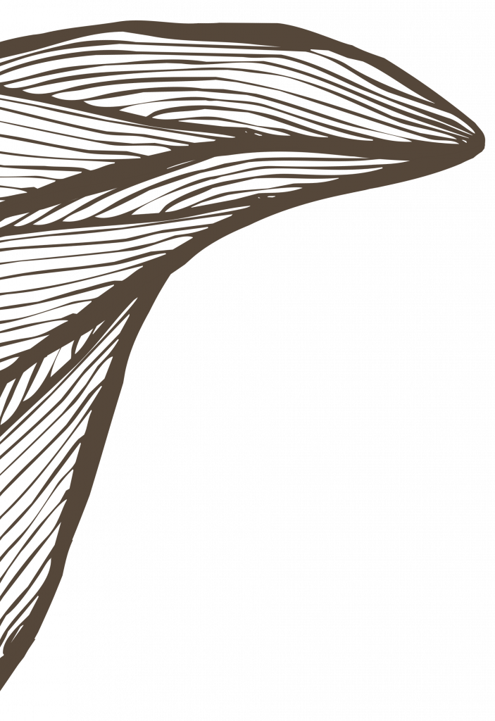 A brown wave illustration.